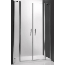 Душевая дверь Roltechnik TDN2/1100 silver 721-1100000-00-02