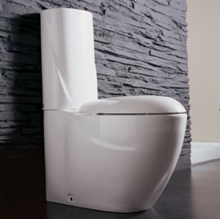 Унитаз напольный моноблок Azzurra Clas 05